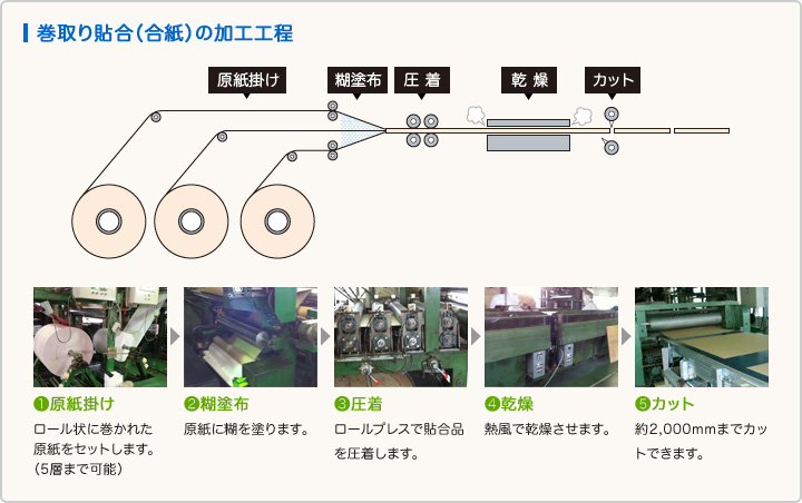 巻取り貼合（合紙）の加工工程 1原紙掛け→2糊塗布→3圧着→4乾燥→5カット